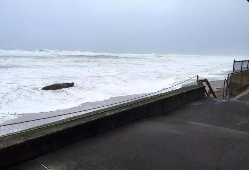 Мотель Sandcastle Beachfront