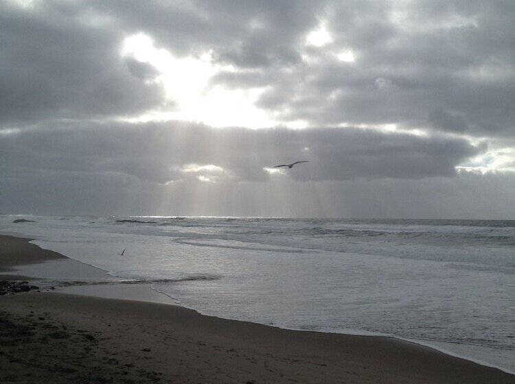 فندق على الطريق Sandcastle Beachfront