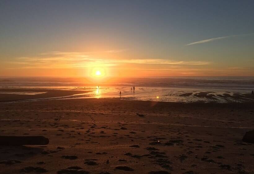 فندق على الطريق Sandcastle Beachfront