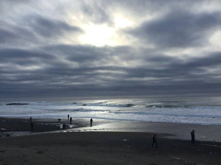 فندق على الطريق Sandcastle Beachfront