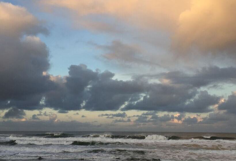 فندق على الطريق Sandcastle Beachfront