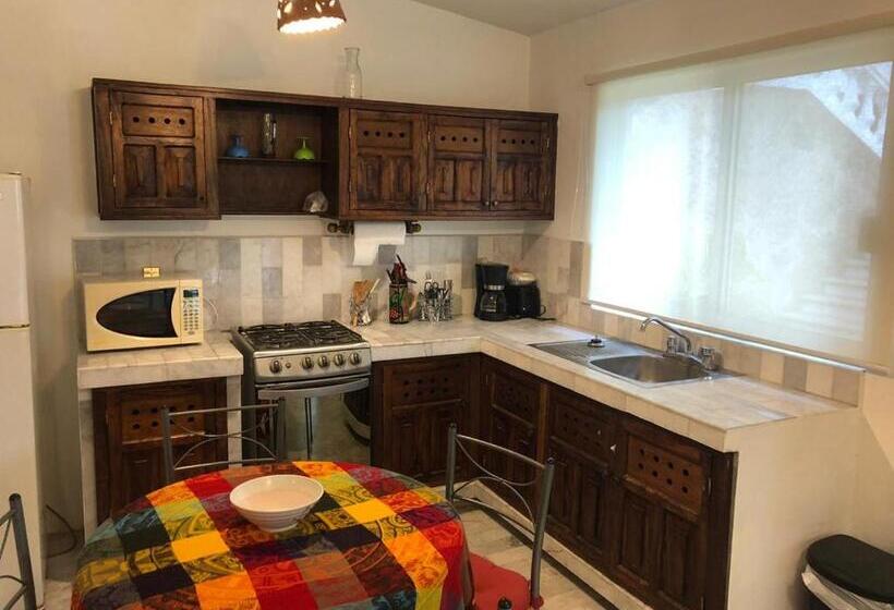 بنسيون Aventura Pacifico Boutique