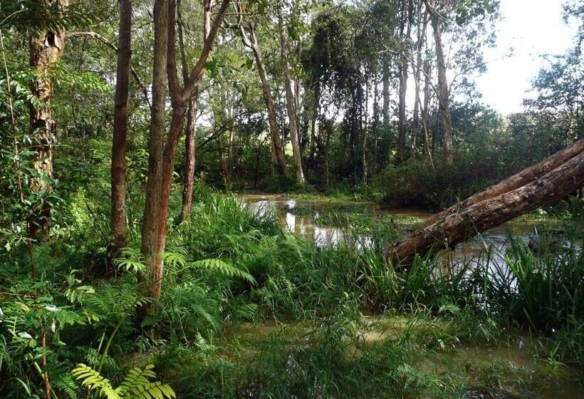 펜션 Glass House Mountains Ecolodge