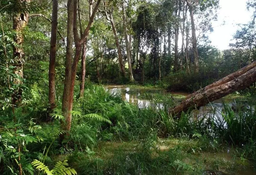 Пансион Glass House Mountains Ecolodge
