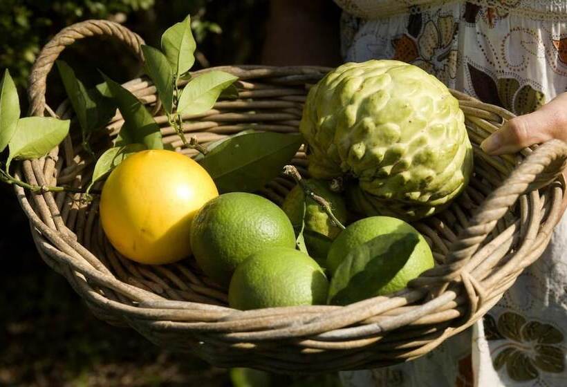 펜션 Glass House Mountains Ecolodge