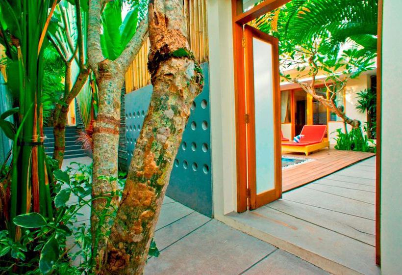 אתר נופש Villa Travis