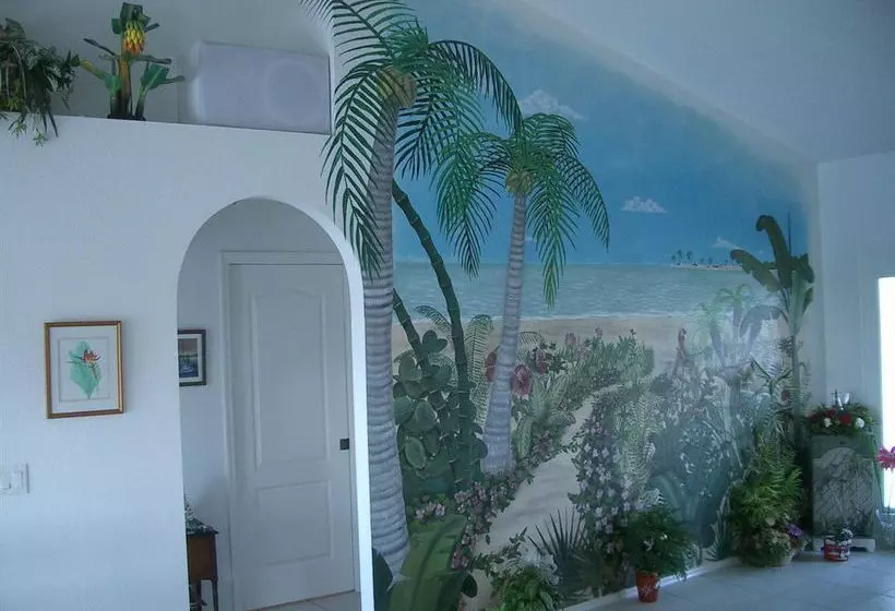 Tropical Paradise Bed & Breakfast