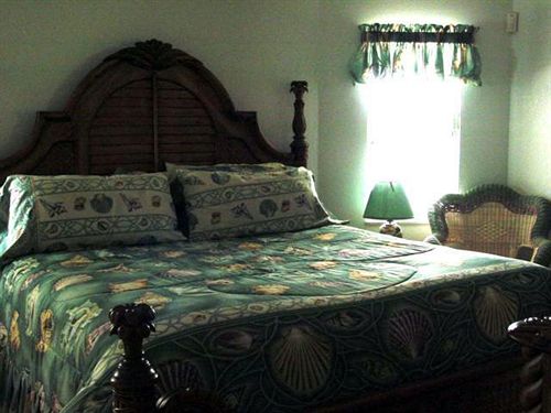 Tropical Paradise Bed & Breakfast