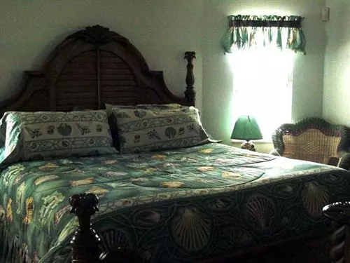 Tropical Paradise Bed & Breakfast