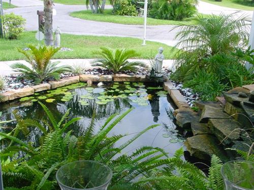 Tropical Paradise Bed & Breakfast