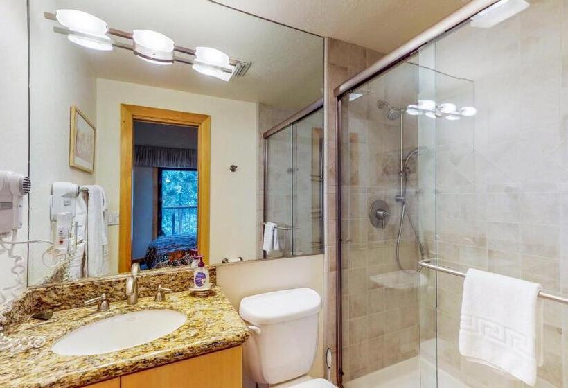 Отель Brockway Springs #36