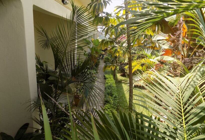 هتل Cielo Country Inn