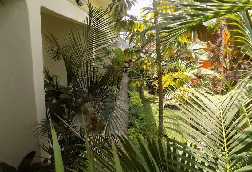 هتل Cielo Country Inn