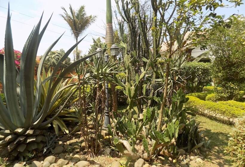 هتل Cielo Country Inn