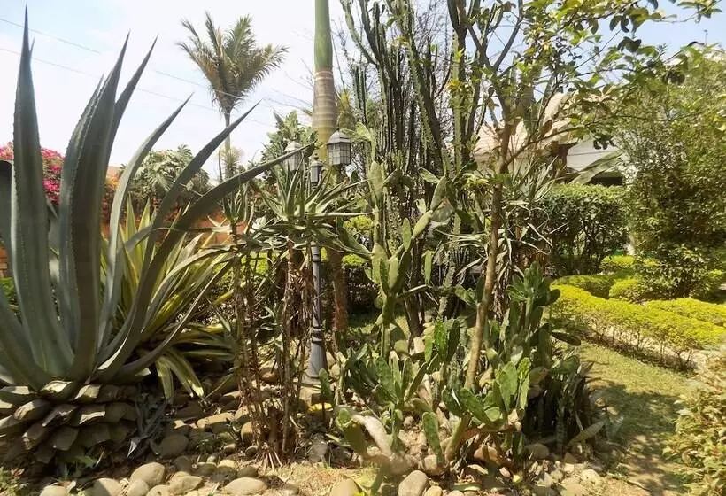 هتل Cielo Country Inn