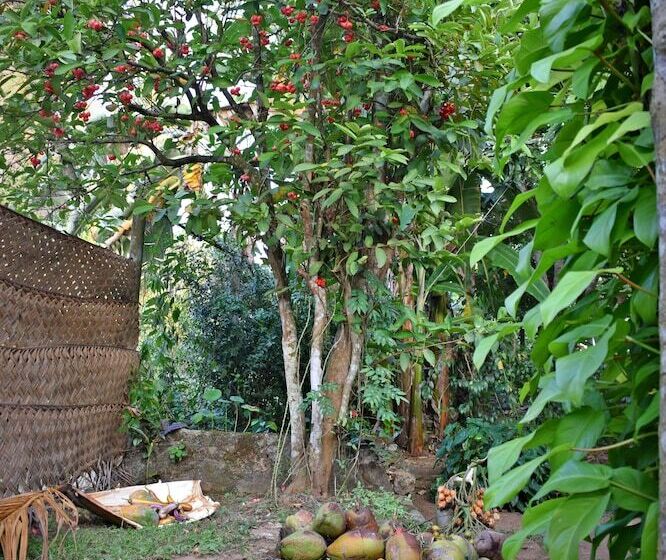 Hotel Elephant Lovers Inn