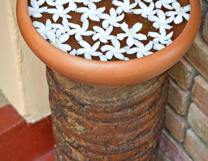 Hotel Elephant Lovers Inn