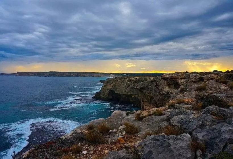 Hotelli Hanson Bay Wildlife Sanctuary And Cabins