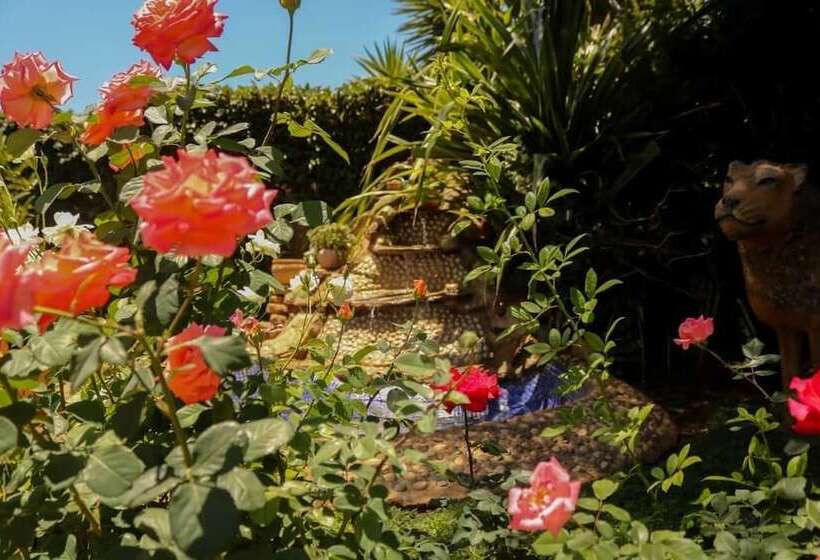 هتل Padandaro Guest House