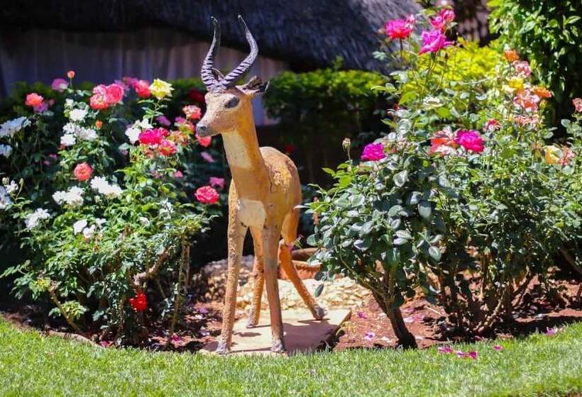 هتل Padandaro Guest House