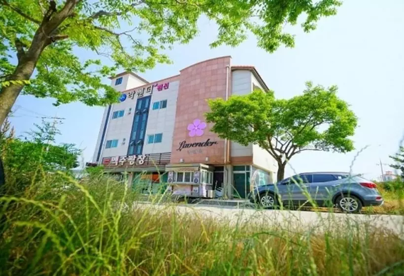 ホテル Buan Lavender Pension