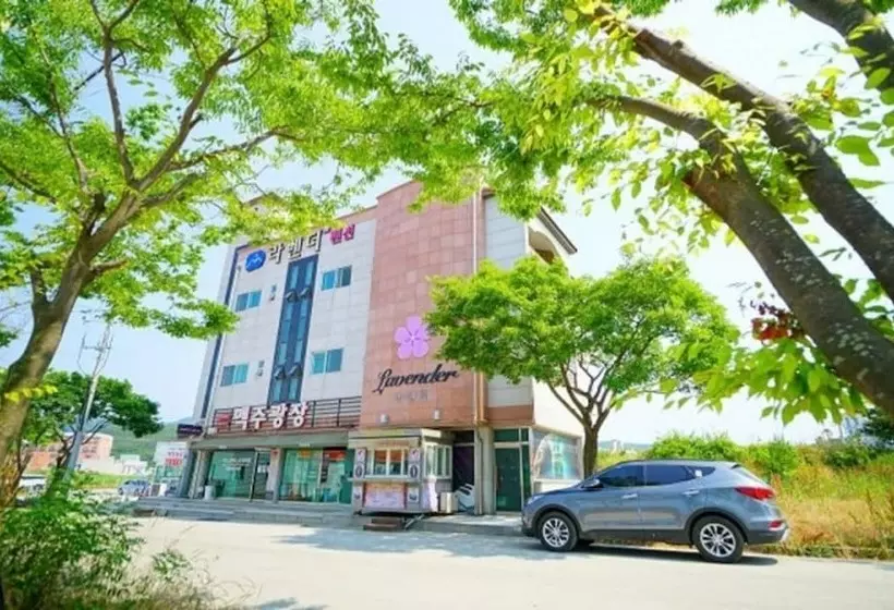 ホテル Buan Lavender Pension
