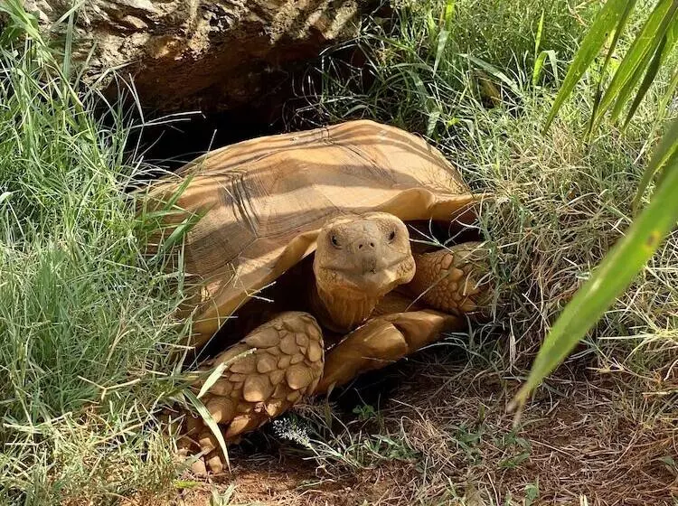 هتل Caribbean Adventure