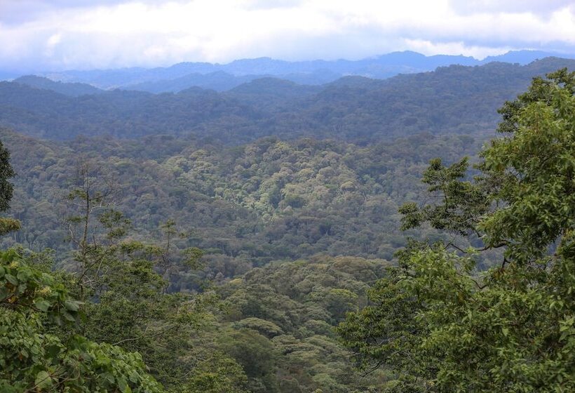 هتل Gorilla Safari Lodge