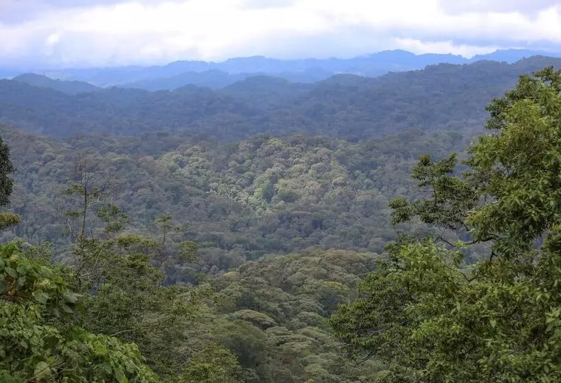 هتل Gorilla Safari Lodge