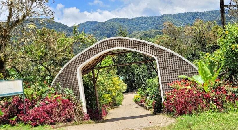 هتل Gorilla Safari Lodge