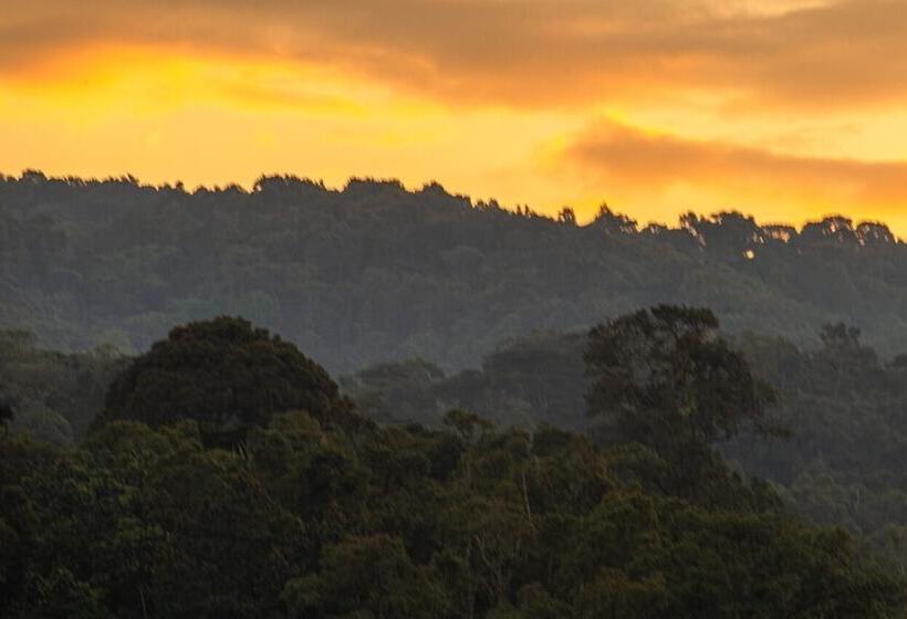 هتل Gorilla Safari Lodge