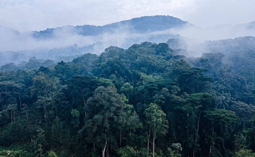 هتل Gorilla Safari Lodge