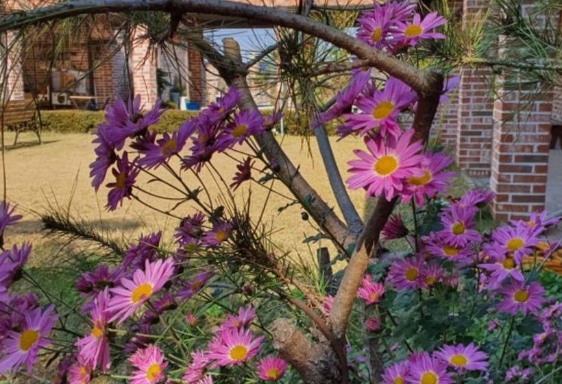 בית מלון כפרי Iksan Haneulsup Pension