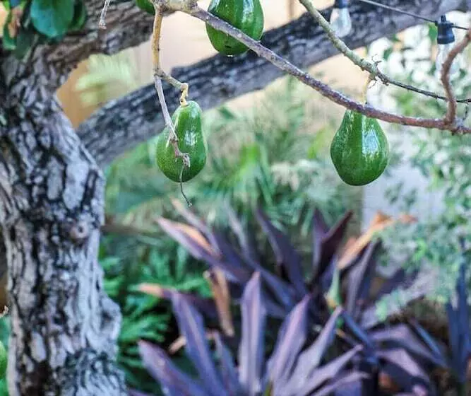 Hotelli Victoria House