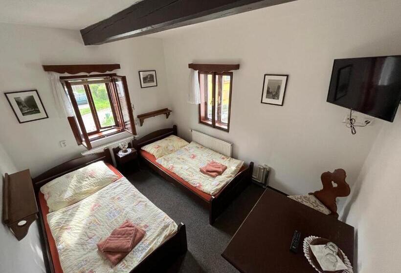 펜션 Penzion Dřevák