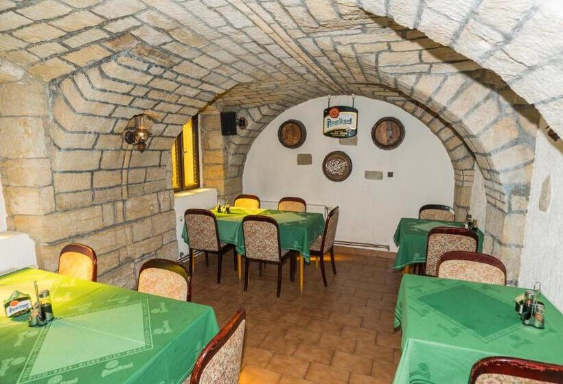 펜션 Penzion Dřevák