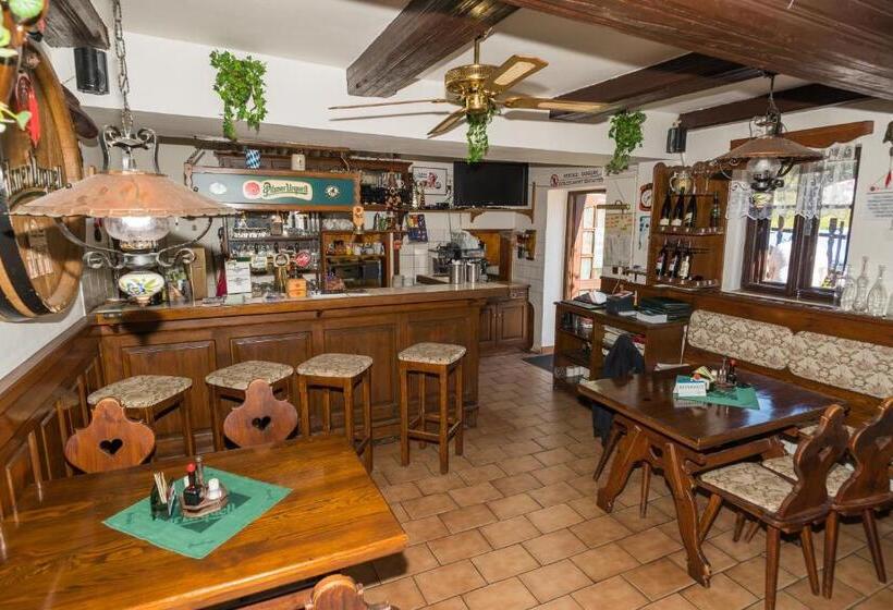 펜션 Penzion Dřevák