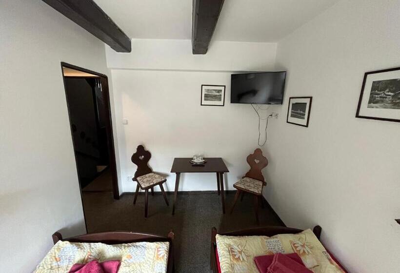 펜션 Penzion Dřevák