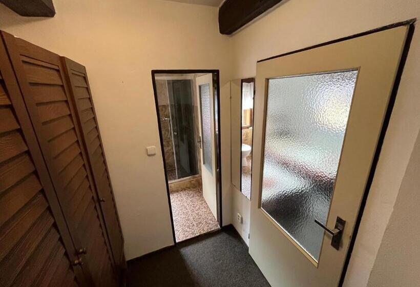 펜션 Penzion Dřevák