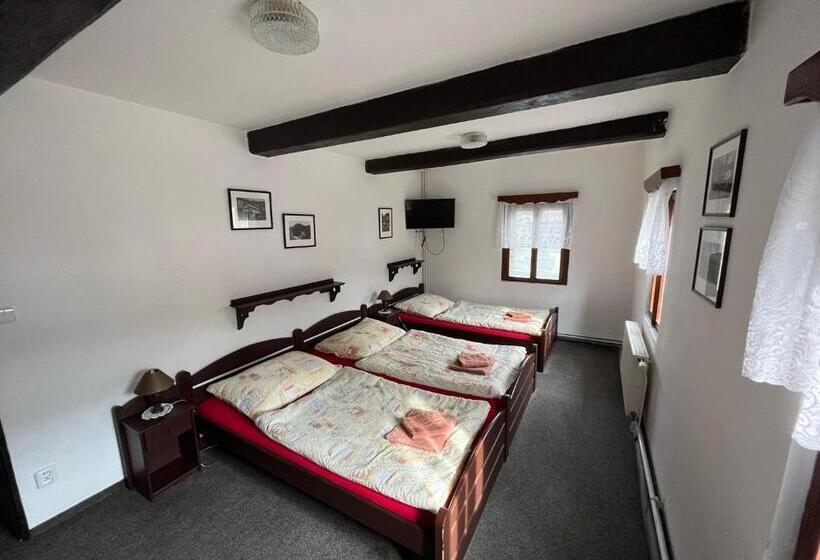 펜션 Penzion Dřevák