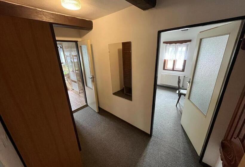 펜션 Penzion Dřevák