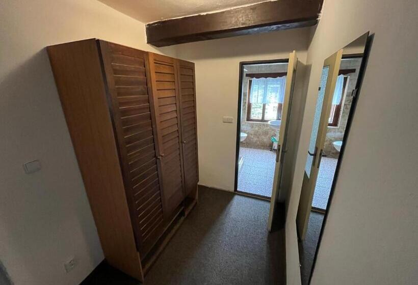 펜션 Penzion Dřevák