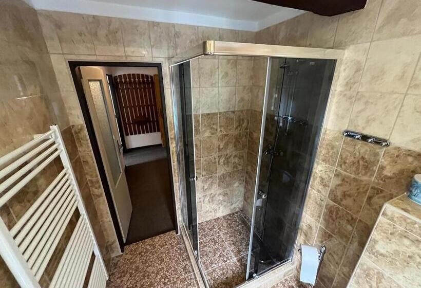 펜션 Penzion Dřevák