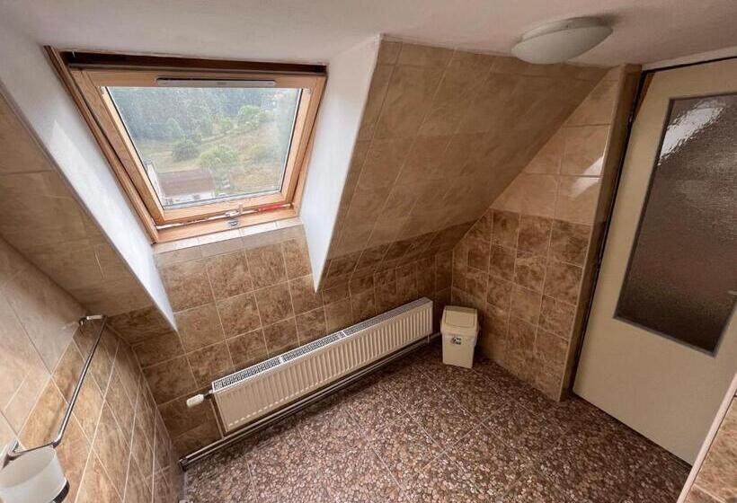 펜션 Penzion Dřevák