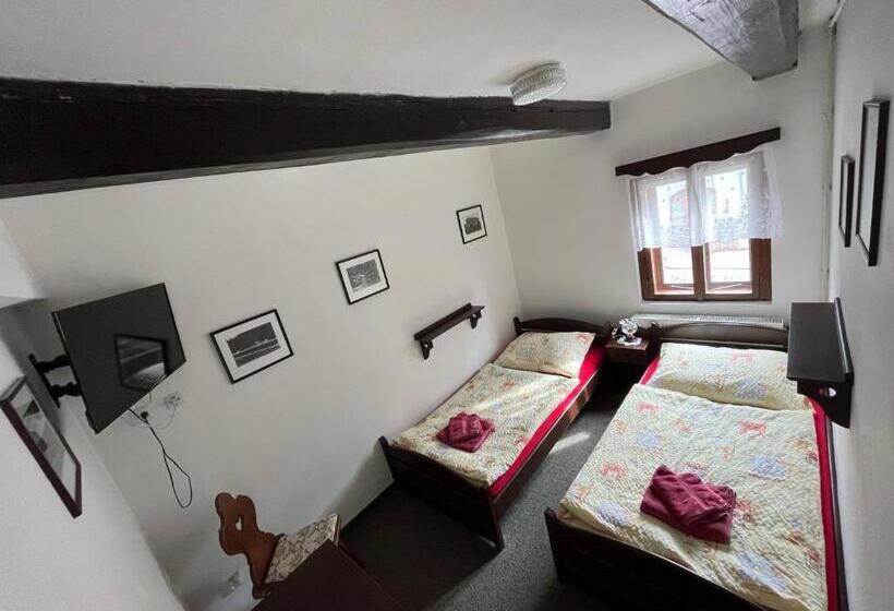 펜션 Penzion Dřevák