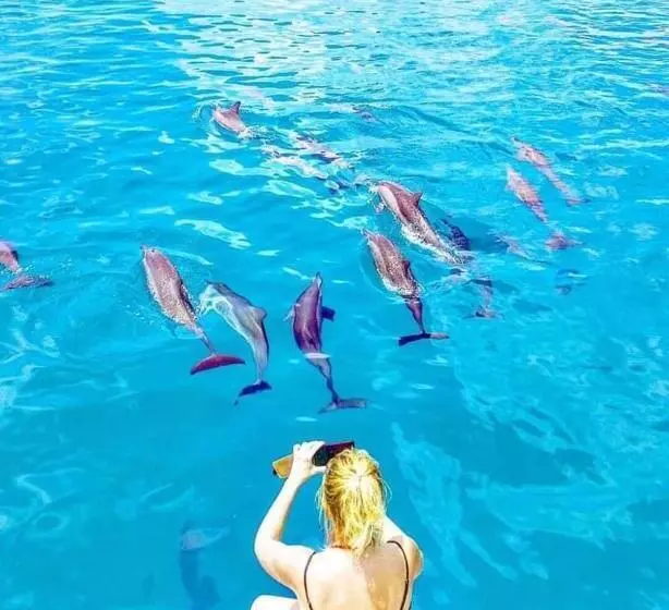 پانسیون Rangali Etos Guraidhoo