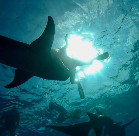 پانسیون Rangali Etos Guraidhoo