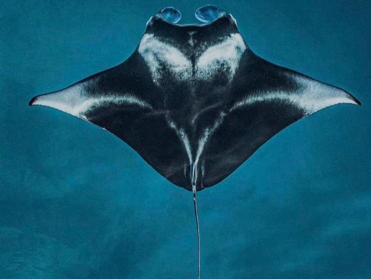 پانسیون Rangali Etos Guraidhoo