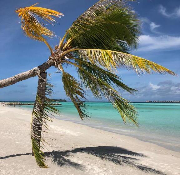 پانسیون Rangali Etos Guraidhoo