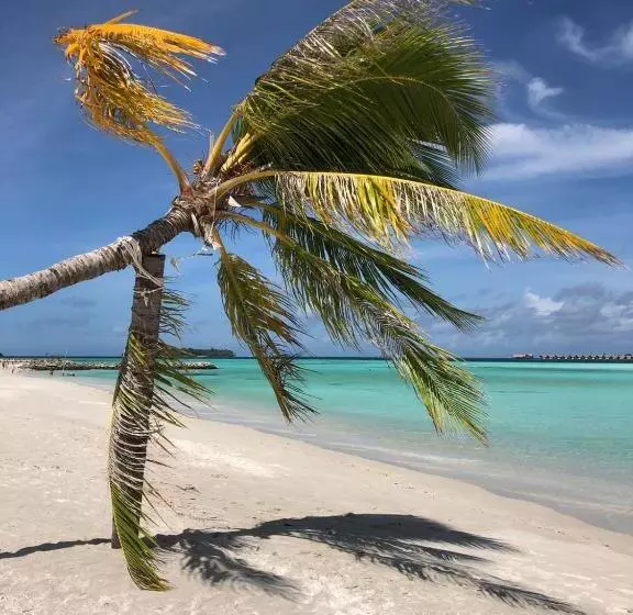 پانسیون Rangali Etos Guraidhoo